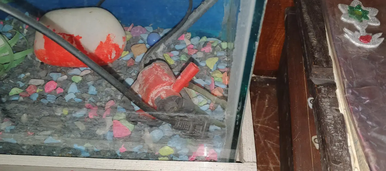 Aquarium size 2/2.5 Pump working — photo 3