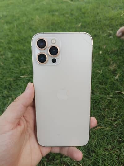 Apple iPhone 12 Pro Max