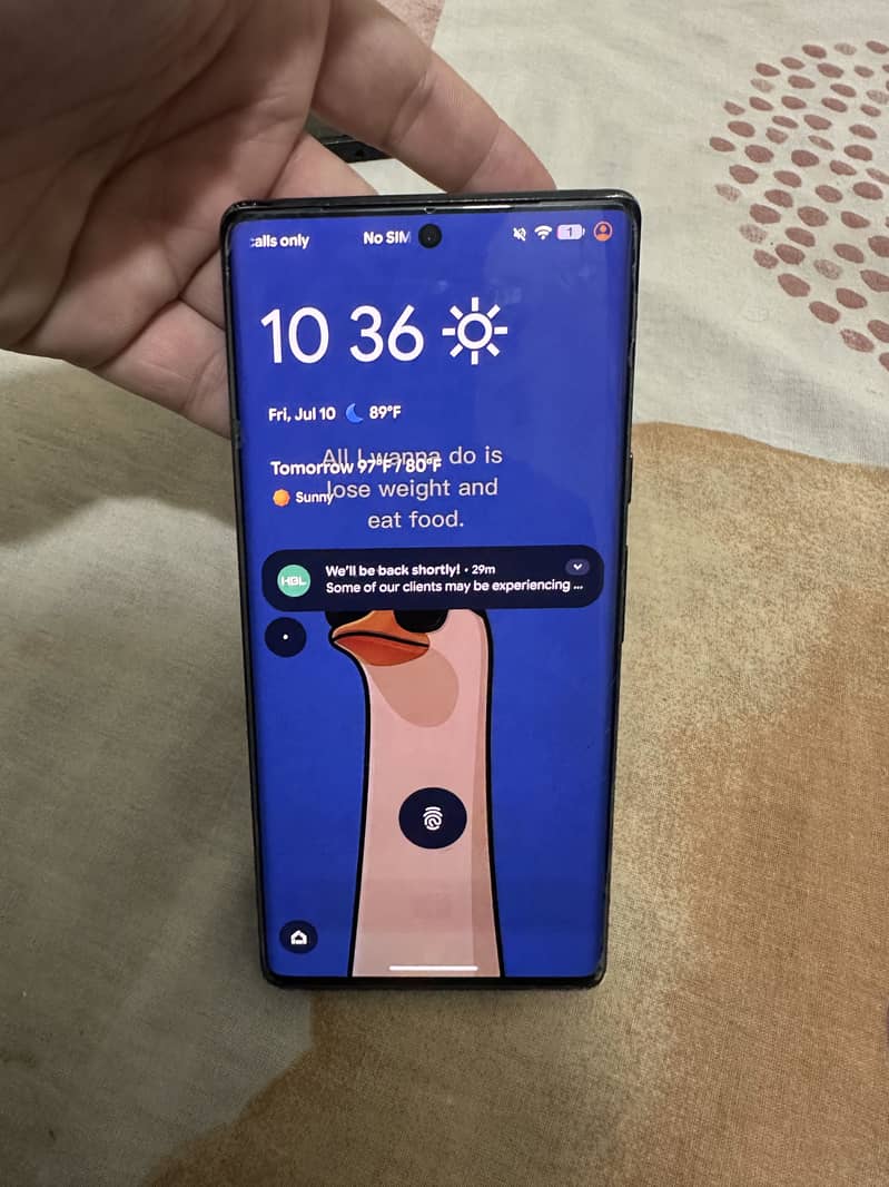 Google Pixel 6 Pro 3