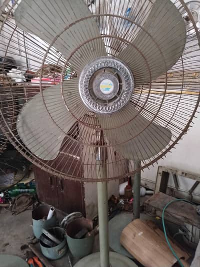 1 royal fan 1 yunas fan