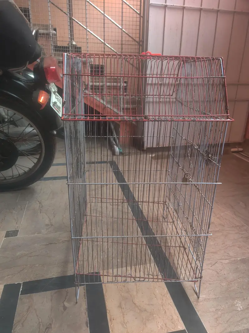 Big cage for hens and peigen — photo 2