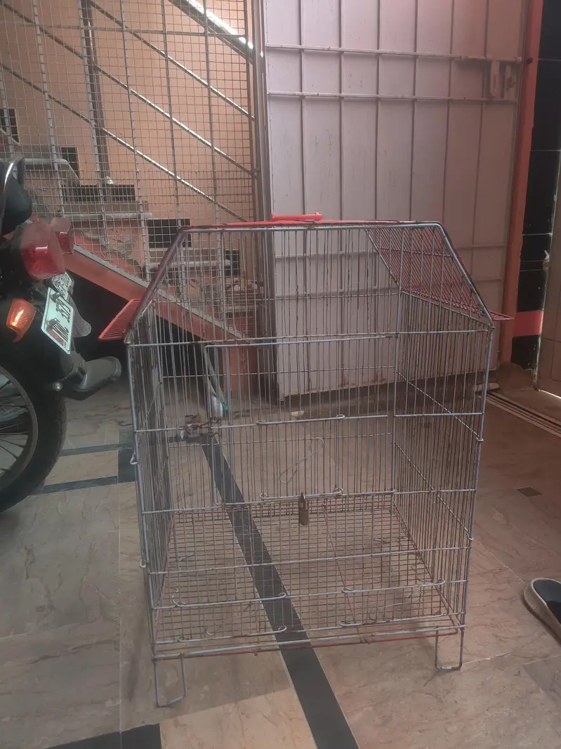 Big cage for hens and peigen — photo 3