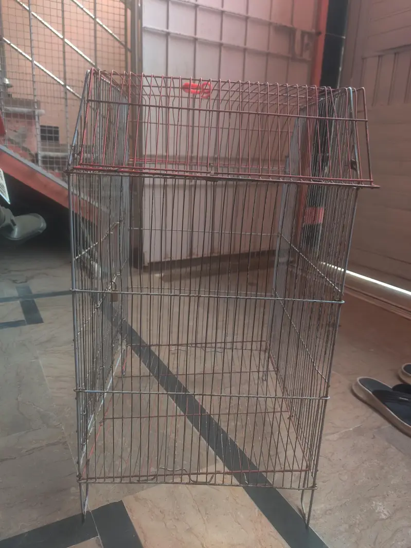 Big cage for hens and peigen — photo 4