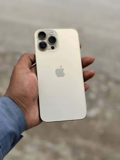 Apple iPhone 13 Pro Max