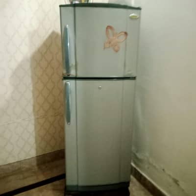 Medium Size Refrigerator