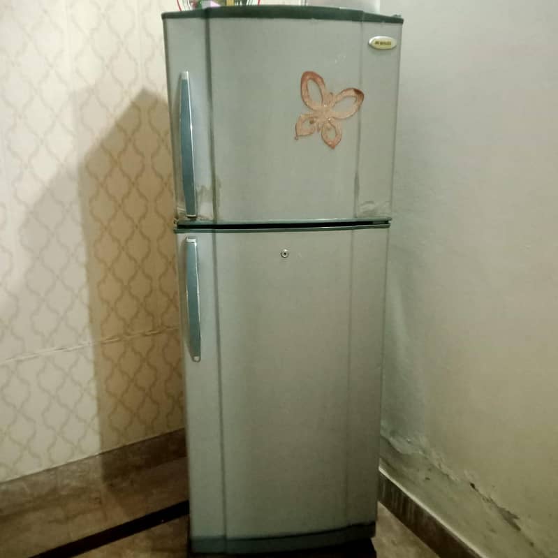 Medium Size Refrigerator 4