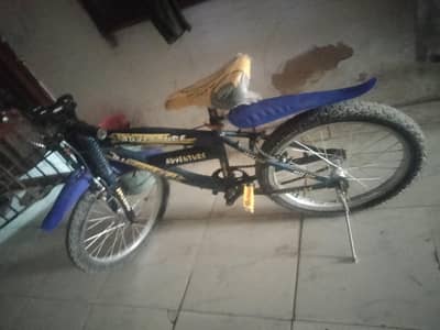 bicycle 10/10 condition