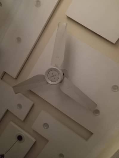 royal big sizel fan 100 original
