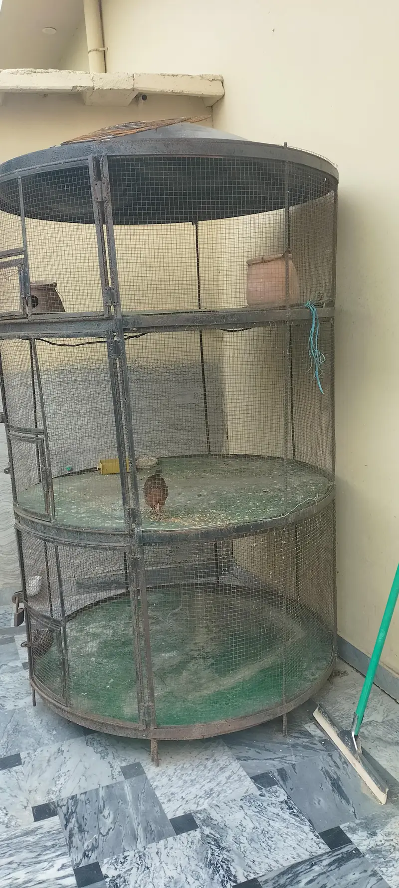birds cage for sale Thora SA Kam hne wala hai Baki sub thik hai — photo 2