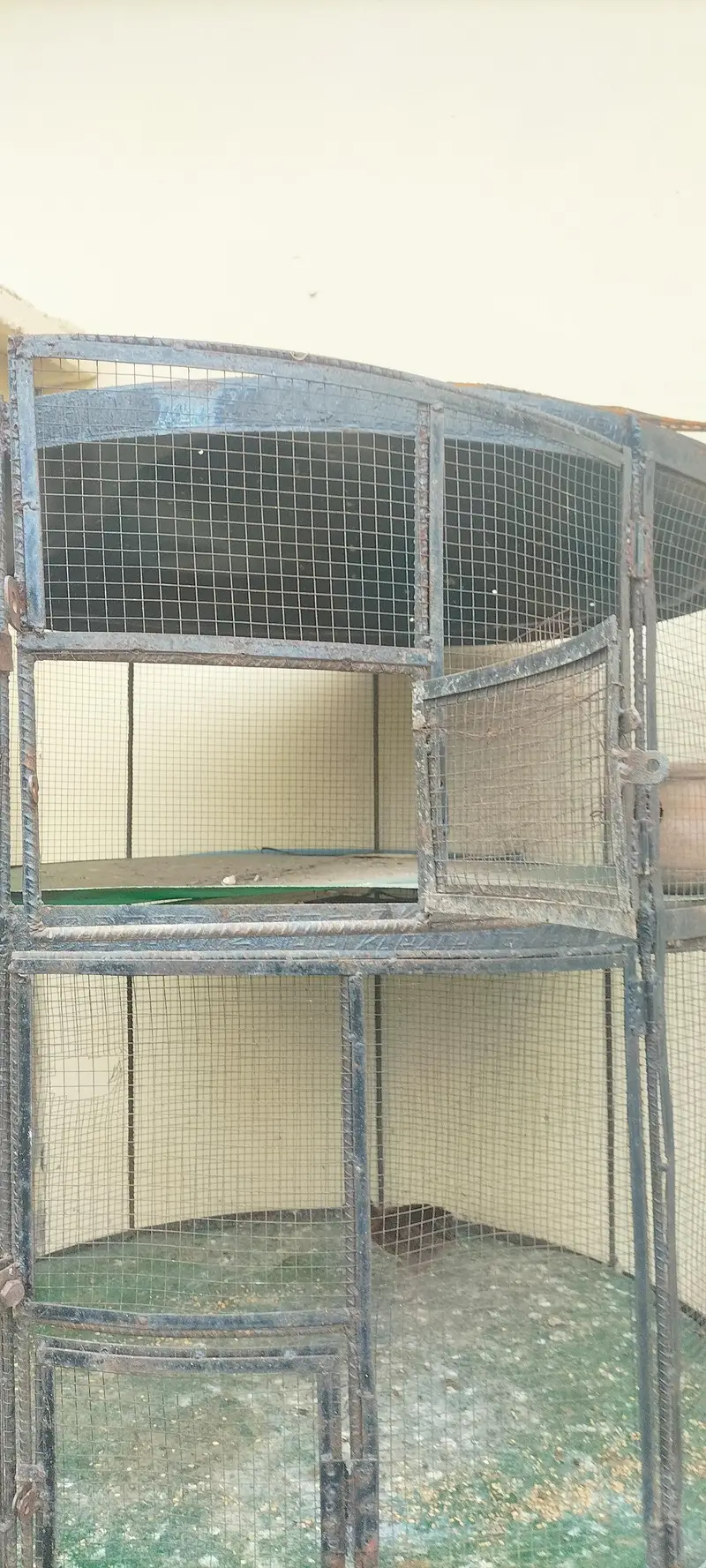 birds cage for sale Thora SA Kam hne wala hai Baki sub thik hai — photo 3