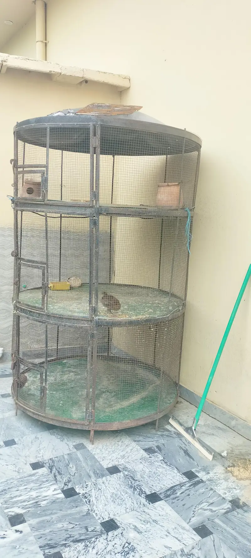 birds cage for sale Thora SA Kam hne wala hai Baki sub thik hai — photo 4