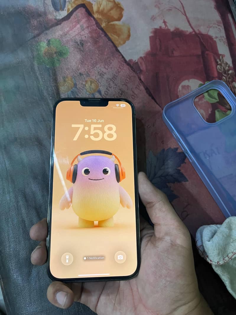 Apple iPhone 13 Pro Max 1