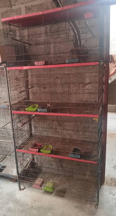 lovebirds cage