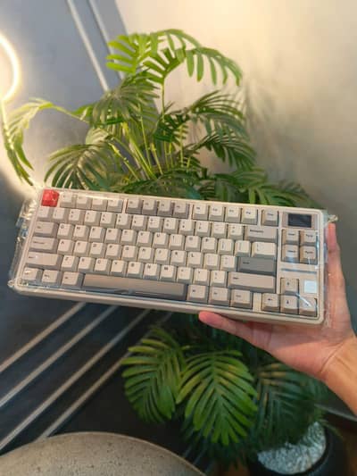 Sikakeyb Castle HM80 Gaming Keyboard