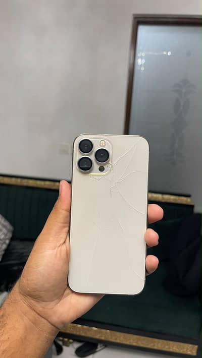 Apple iPhone 13 Pro Max