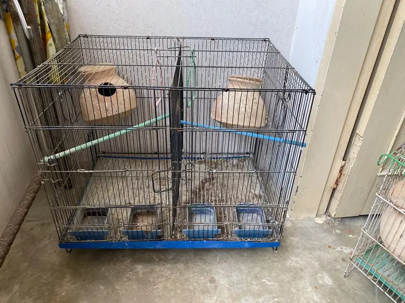 cage for sale pinjray