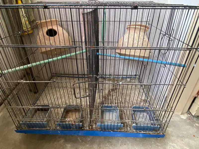 cage for sale pinjray — photo 2