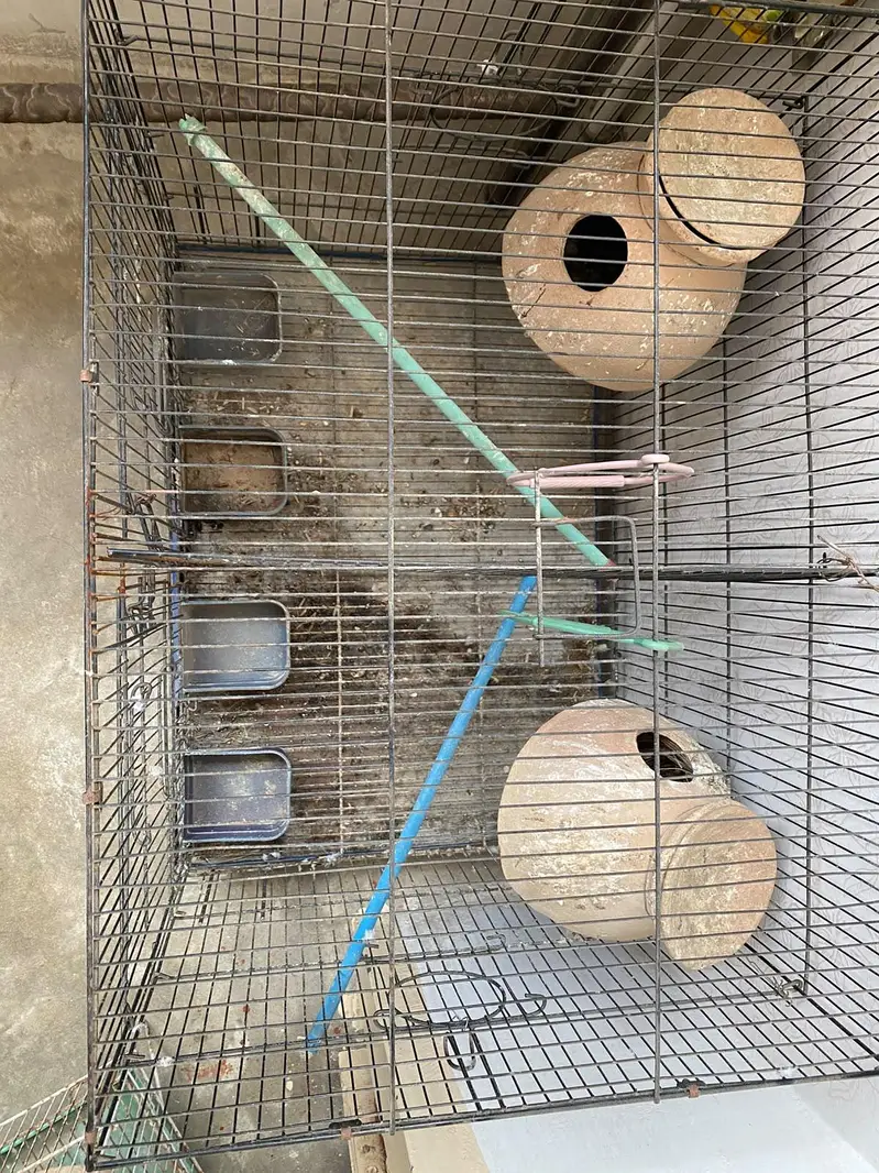 cage for sale pinjray — photo 3