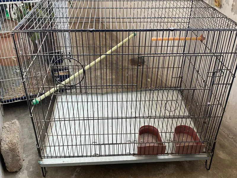 cage for sale pinjray — photo 4
