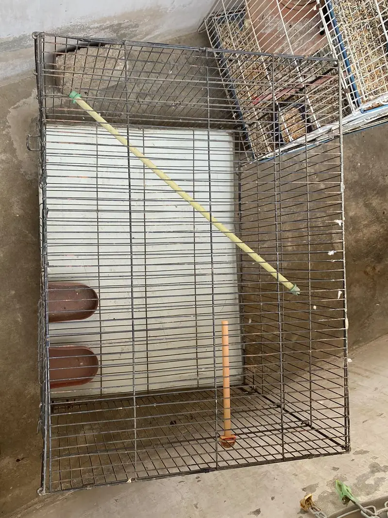cage for sale pinjray — photo 5