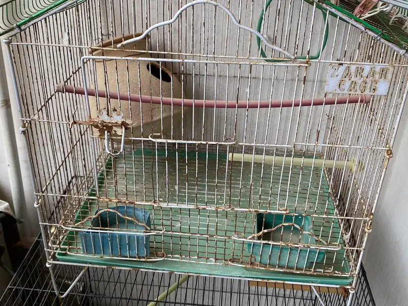 cage for sale pinjray — photo 8