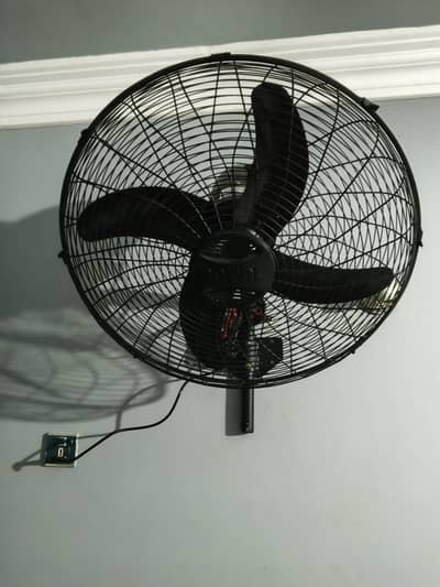 Bracket fan for sale