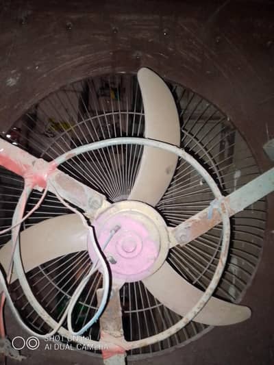 fan for sale