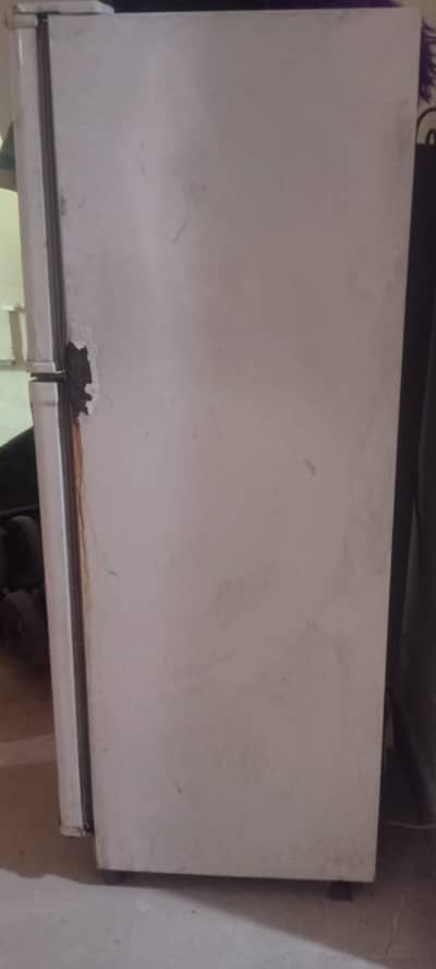 Medium fridge
