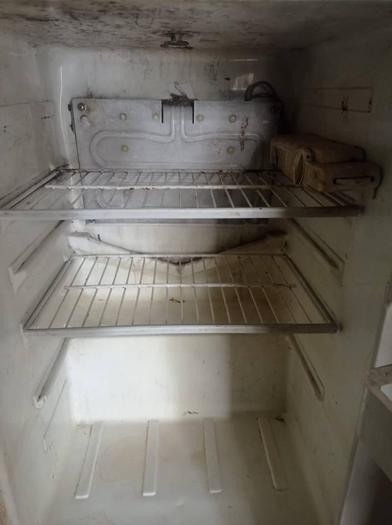 Medium fridge 2