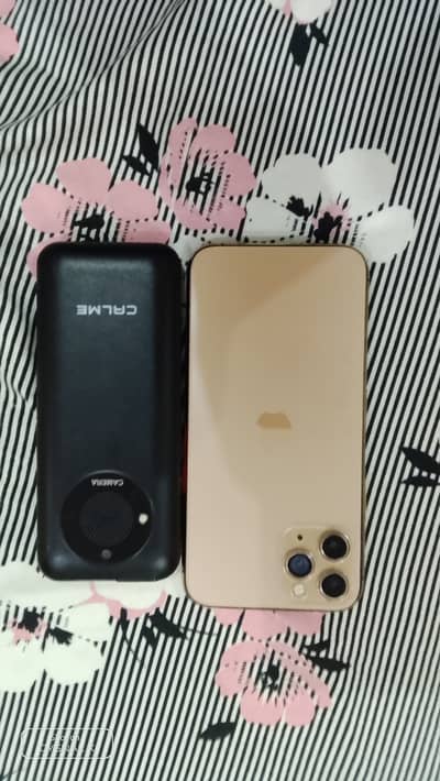 Apple iPhone 11 and pta device