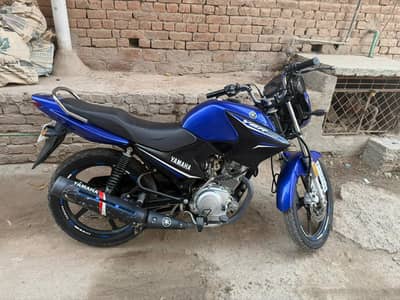 Yamaha YBR 125 Lush Condition Blue Colour Model 2023