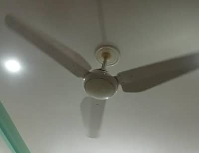 Breeze Fans for sale