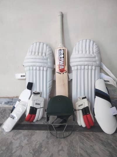Complete Hard ball Cricket Kit along Bag