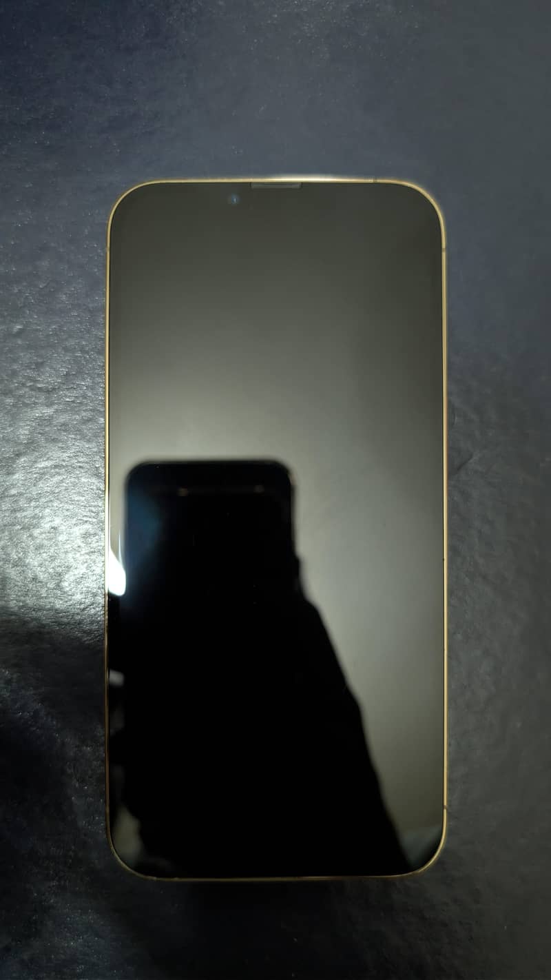 IPhone 13 Pro Max 1