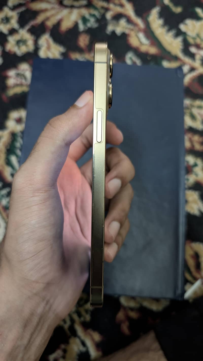 IPhone 13 Pro Max 2