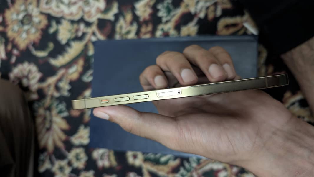 IPhone 13 Pro Max 3