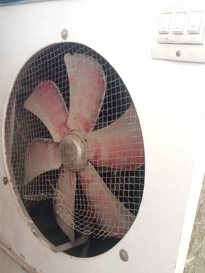 Lahori Cooler