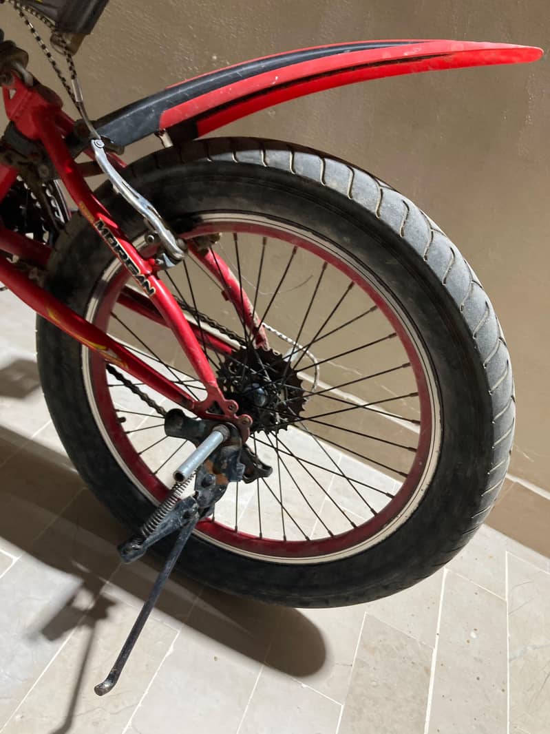 Morgan cycle 3