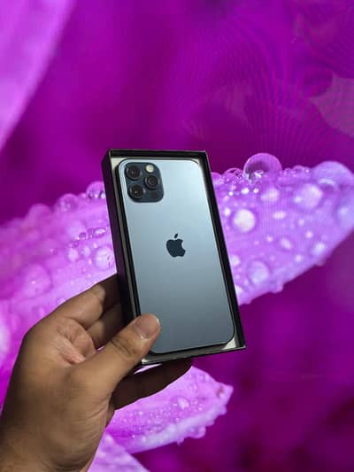 Iphone 12 Pro 256 gb