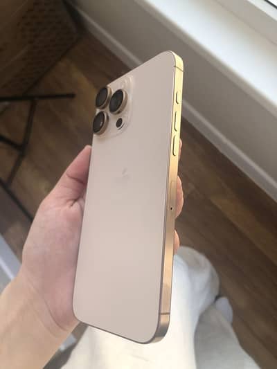 Apple iPhone 16 Pro Max
