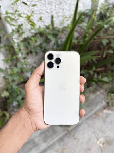 Apple iPhone 13 Pro Max