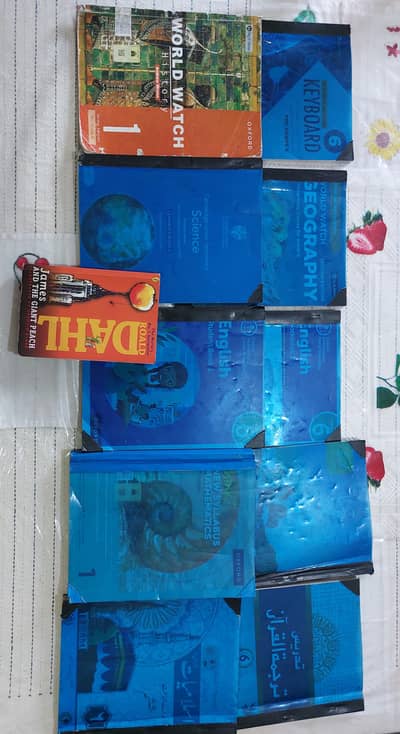 6 grade olevel books