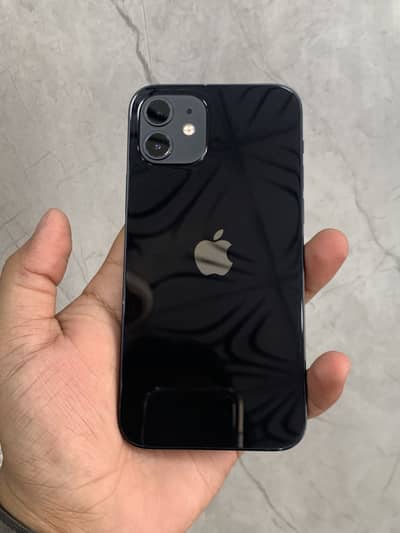 Apple iPhone 12 factory