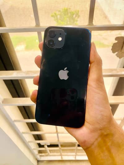 Apple iPhone 12