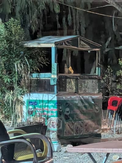 bariyani stall