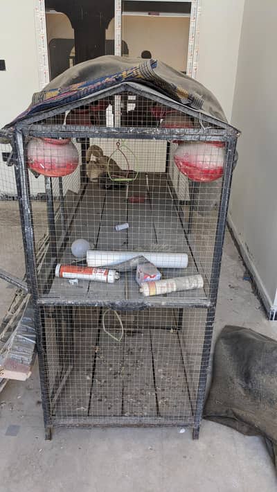Birds cage
