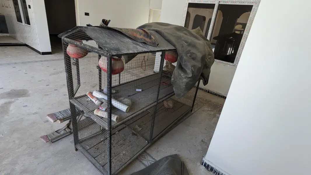 Birds cage — photo 2