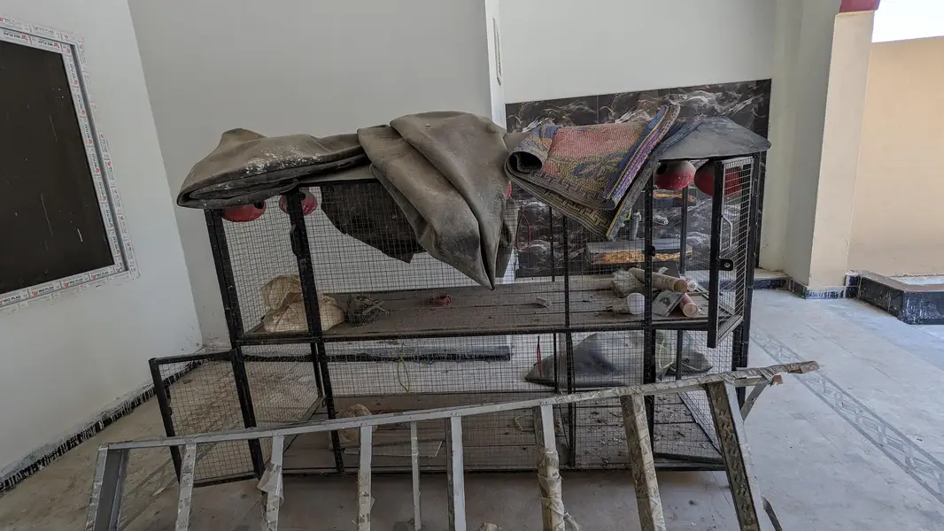 Birds cage — photo 3