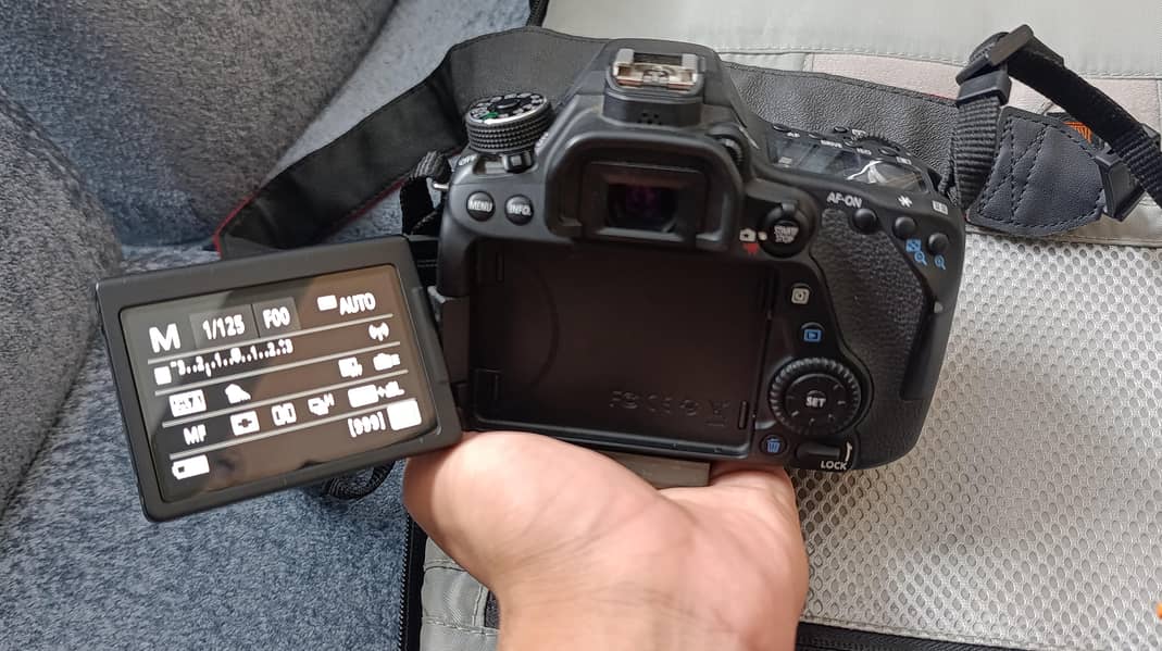 Canon EOS 80D 1