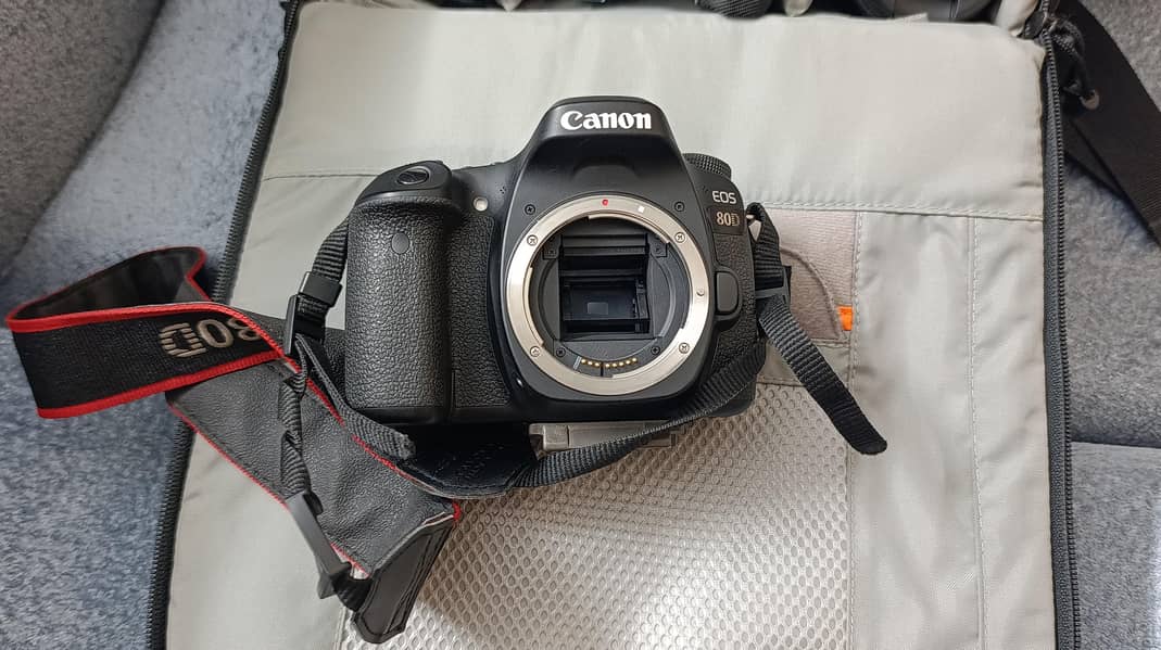 Canon EOS 80D 2